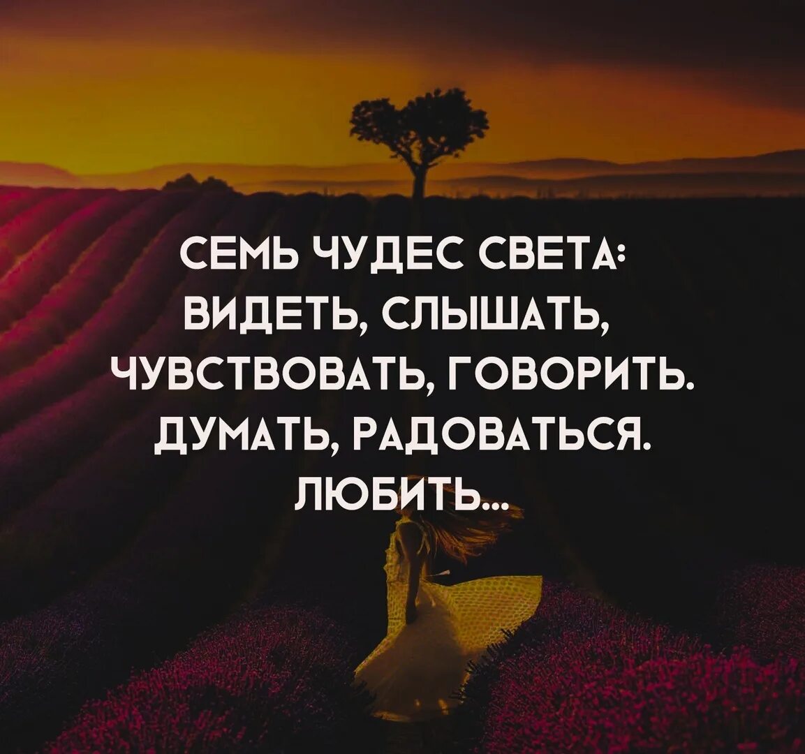 Вижу слышу осязаю