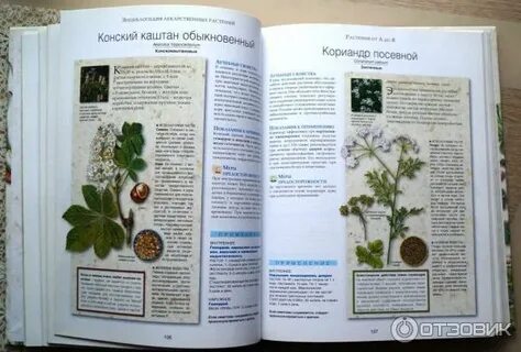 Книга целебные травы