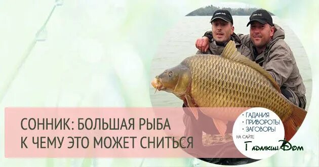 Сонник рыба большая живая. Видеть во сне большую рыбу. Поймал большую рыбу во сне. Приснилась большая рыба. Большая рыба сонник.