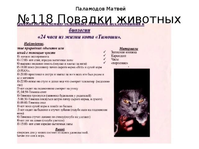 Автор про повадки животных. Повадки животных. повадки и привычки животных. что такое повадки. повадки и привычки собак.
