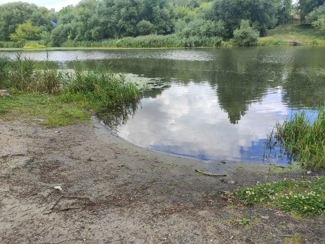 Исток реки свияга. Ульяновск реки волга и свияга. Река свияга в татарстане. Апастово река свияга. Апастово река свияга.