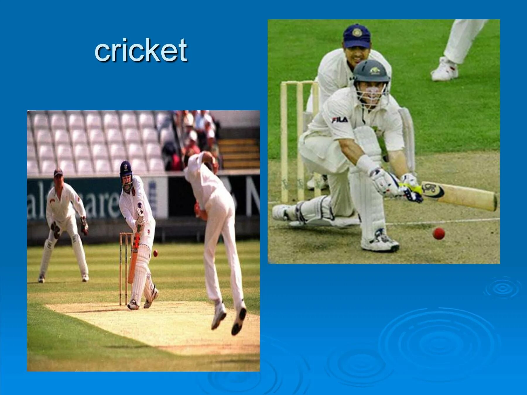 Various kinds of sports. Крикет презентация на английском. Kinds of Sport. Kinds of Sports. Виды спорта на английском Cricket.