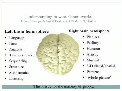 Our brain