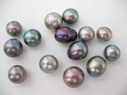 Sea pearl 4