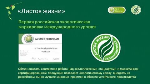 Франшиза листок отзывы
