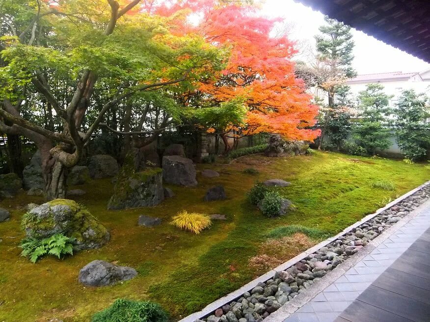 Китайский сад краснодар. Японский сад в Краснодаре 2023. Освещение в японском саду. Дорожки в японском саду. Современный японский сад.