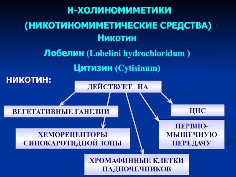 Холиномиметики это. Классификация холиномиметиков. Холиномиметики препараты. Н холиномиметики лобелин. H холиномиметики препараты.