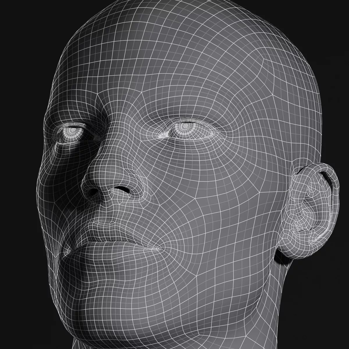 Сетчатое тело. Zbrush ретопология лица. Ретопология в Zbrush. Топология головы. Модель человеческой головы.