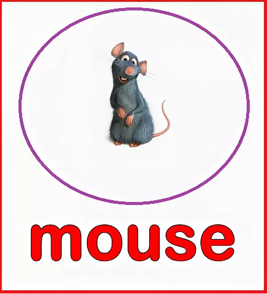 F mice
