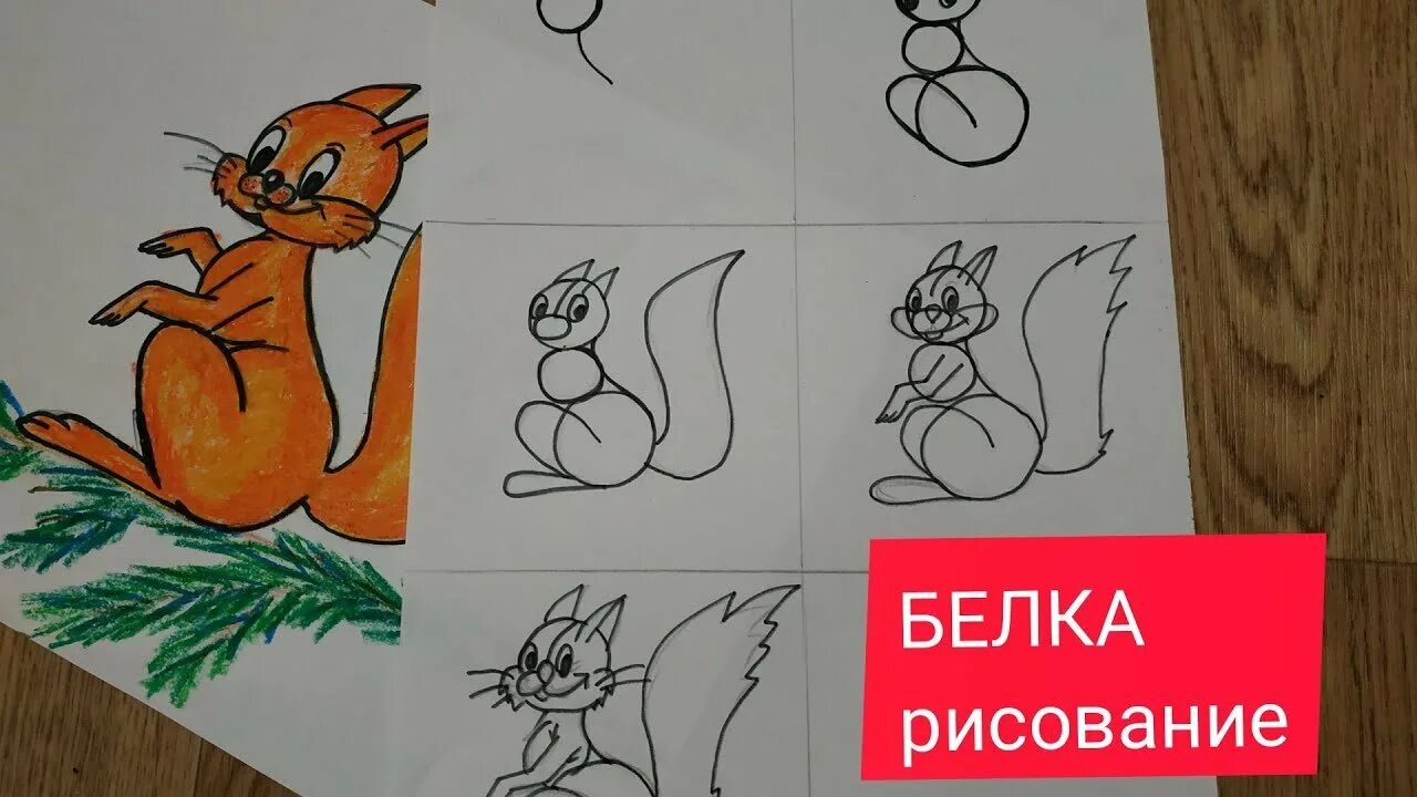 Рисунок белки. Белка рисунок карандашом. Поэтапное рисование белки. Белочка рисунок поэтапно. Легкая белково