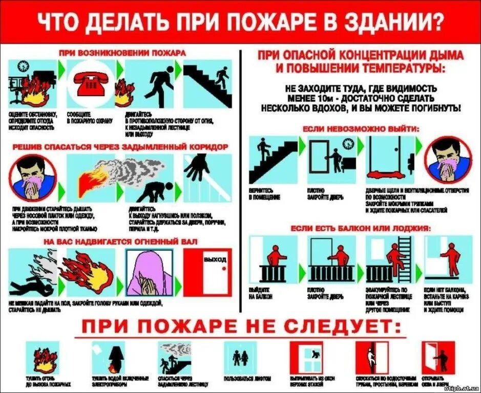 Порядок действий при эвакуации при пожаре. Алгоритм действий при возникновении пожара в школе. меры личной безопасности при возникновении пожара. алгоритм действий при пожарной эвакуации. памятка правила эвакуации при пожаре в школе.