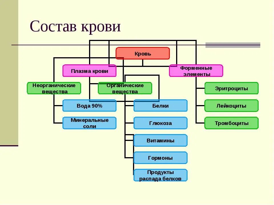 Состав е ю. Состав крови схема. схема состава крови по биологии 8 класс. состав крови схема таблица. составьте схему состав крови.