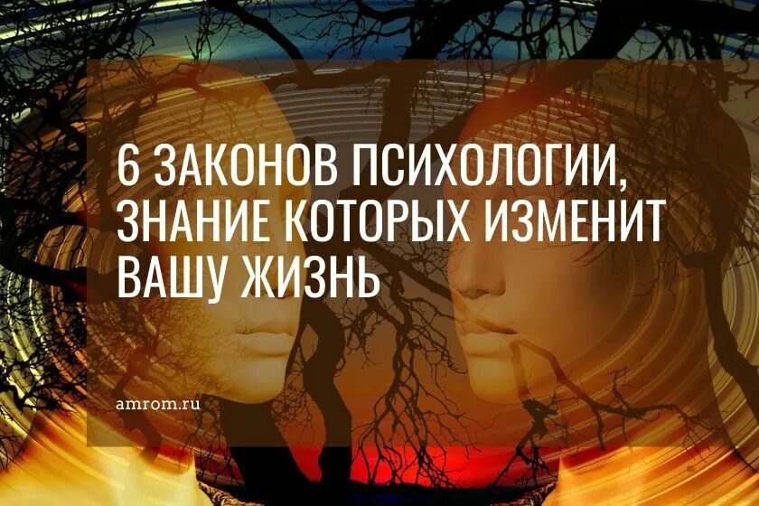 6 минут которые изменят вашу жизнь. Книги которые изменят вашу жизнь к лучшему. изменит вашу жизнь. психологические фильмы , которые меняют жизнь в лучшую сторону. изменю вашу жизнь.