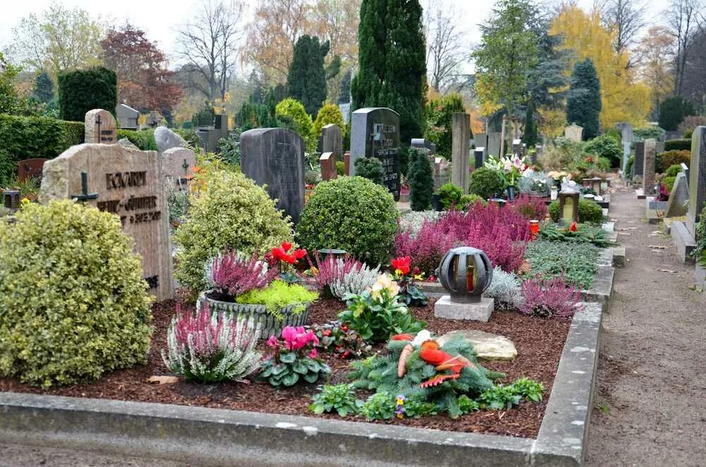 Многолетники на кладбище засухоустойчивые. Цветы в цветнике на могиле. Деревья посадить на кладбище