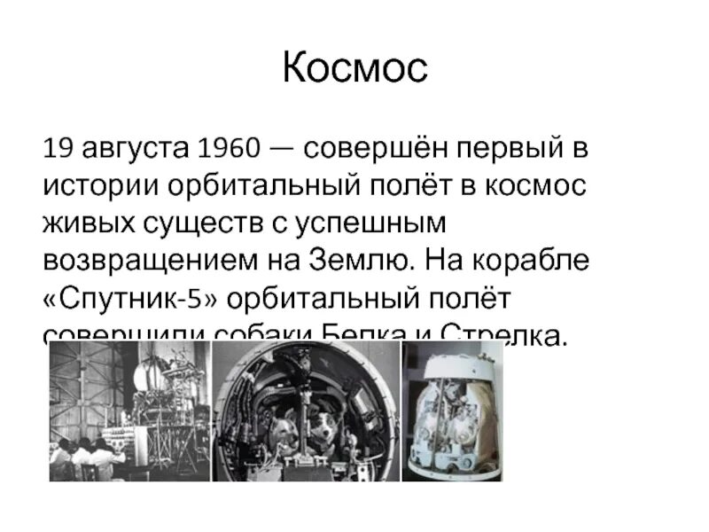 19 августа 1960. Полеты в космос в 19 веке. 1 Орбитальный полет живых существ с успешным возвращением на землю.