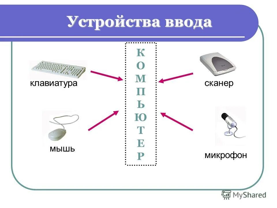 Продолжите ряд микрофон сканер мышь. Продолжите ряд микрофон сканер мышь. Устройства ввода информации: клавиатура, мышь, сканер, микрофон. Клавиатура сканер мышь одним словом. Клавиатура микрофон сканер.