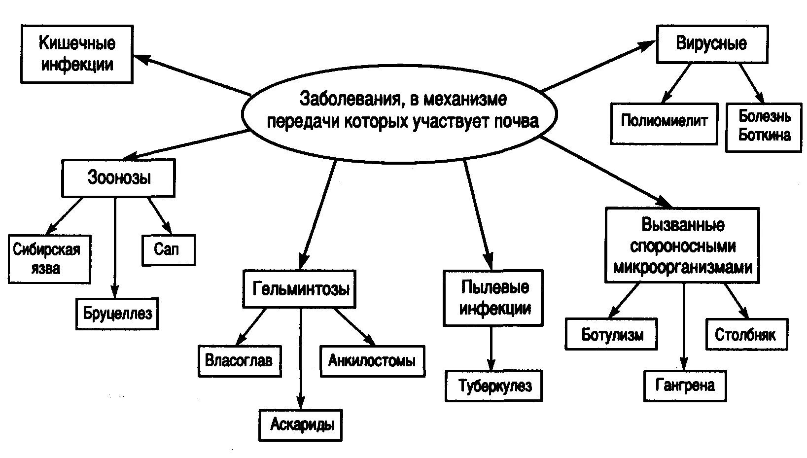 Заболевания вызванные почвой. Инфекционные заболевания и гельминтозы, передающиеся через почву.. Инфекционные заболевания передающиеся через почву. Заболевания передаваемые через почву. Инфекции через почву.