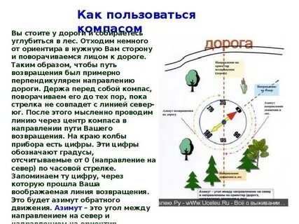 Правила определения сторон света