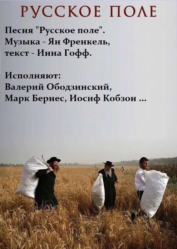 Где поля мои поля текст. Поле русское поле текст. русское поле песня текст. русское поле текст стих. русское поле и евреи.
