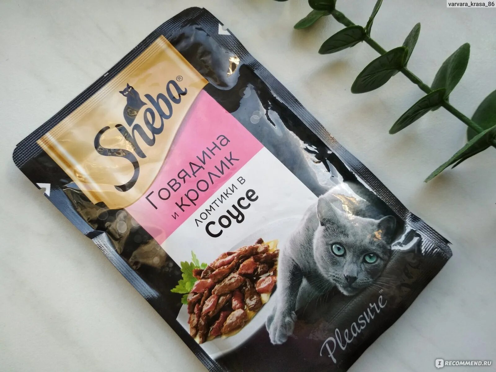 Sheba корм для котят. Sheba для собак. Корм д/кошек шеба плежер 85гр. Корм для кошек шеба отзывы ветеринаров влажный. Sheba пауч.