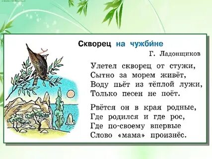 Слово скворец найти слова