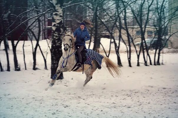 Песня погоняю лошадей по снегу. Погоняет лошадь. Эдуард хуснутдинов погоняю лошадей по снегу белому. Лошади в снегу гиф. Песня погоняю лошадей по снегу.