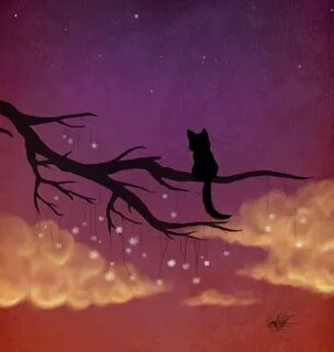 Ночь картинки кошки