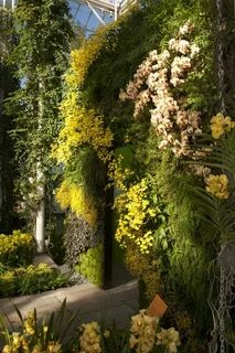 Plants talk