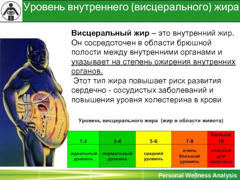 Как избавиться от висцерального жира у мужчин