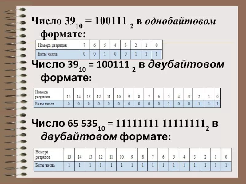6 форматы чисел. Число в однобайтовом формате. представить число в однобайтовом формате. однобайтное представление чисел. число 16 в однобайтовом формате.