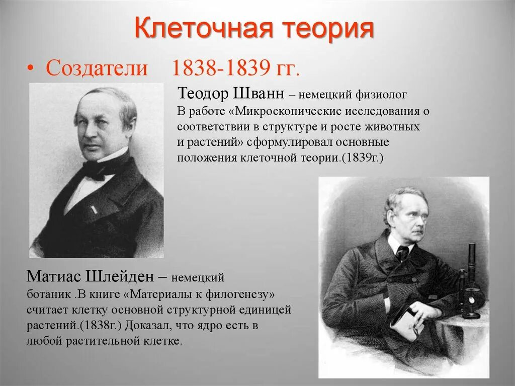 В каком году был открыт. Клеточная теория 1838-1839. Клеточной теории Шванна и Шлейдена 1839. 1838 Шлейден и Шванн. 1838 - 1839 Годы т. Швани и шлеймен.