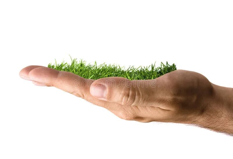 Hands grass