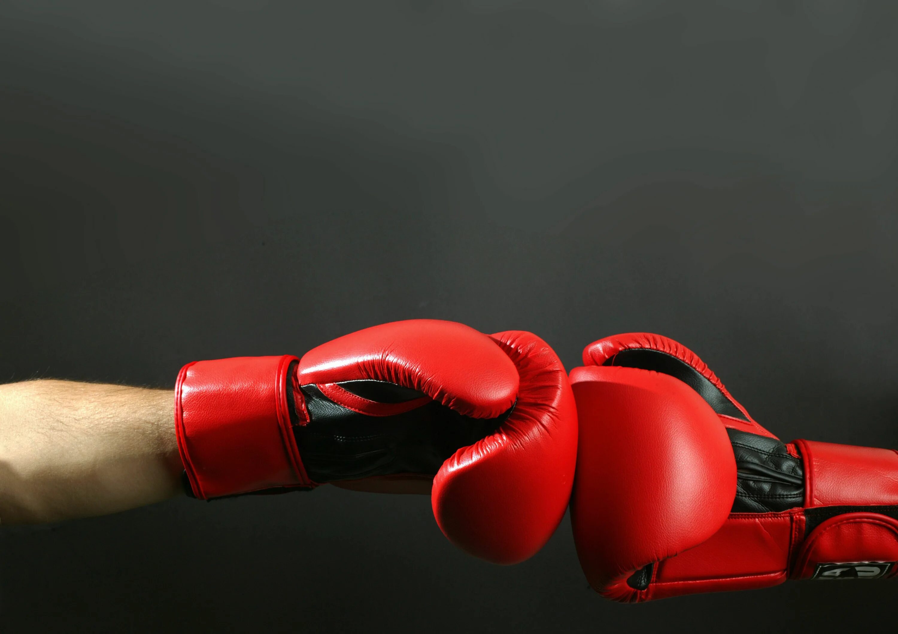 Untitled boxing game gloves