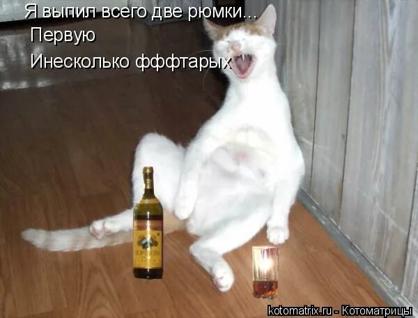 Анекдот про трех патологоанатомов и гречку. Песня напилась я мама наебенилась. Песня напилась я мама наебенилась. Песня напилась я мама наебенилась. Песня напилась я мама наебенилась.