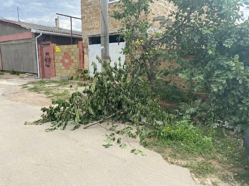 Саки озеро сасык. Чп саки сегодня. Чп саки сегодня. 2021. 2022.