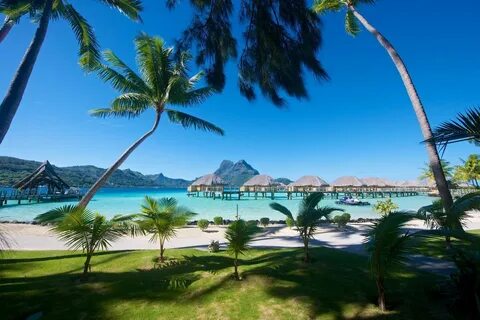Pearl beach