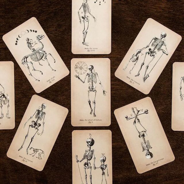 Таро спид ап. Таро клэр гудчайлд. таро vindur deck. antique anatomy tarot галерея. монохромные таро.
