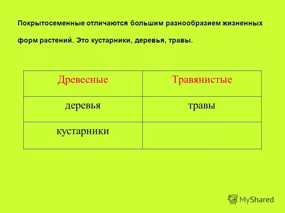 Покрытосеменными потому что