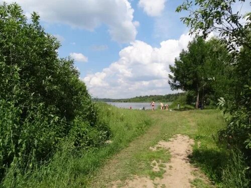 СНТ зеленый Оазис. Поселок зеленый Московская область. Поселок зеленый Москва. Фотография Московский область посёлок зелёный.