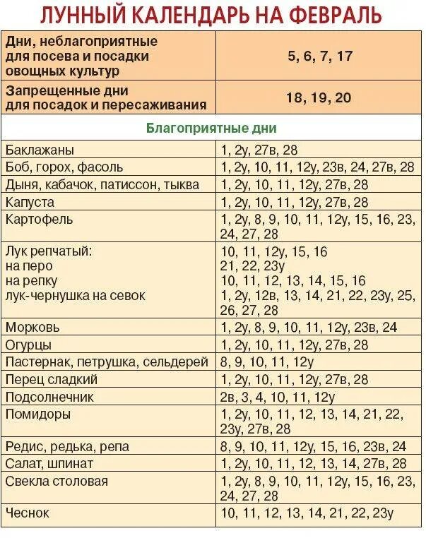 Какого числа в феврале можно сажать перец. Благоприятные дни для посева семян перца. благополучные дни для посадки перца. лунный календарь посева перца. благоприятные дни для посева перца в феврале.