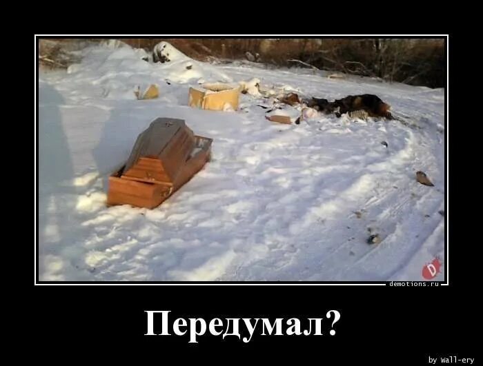Передумал мем. Кот снег передумал. Следы кота на снегу. Хотел но передумал. Смешные следы на снегу.