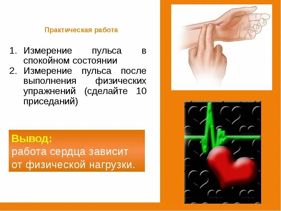 Пульс работа. Вывод про пульс человека. заключение по пульсу. измерение пульса вывод. вывод в сердцебиении человека.