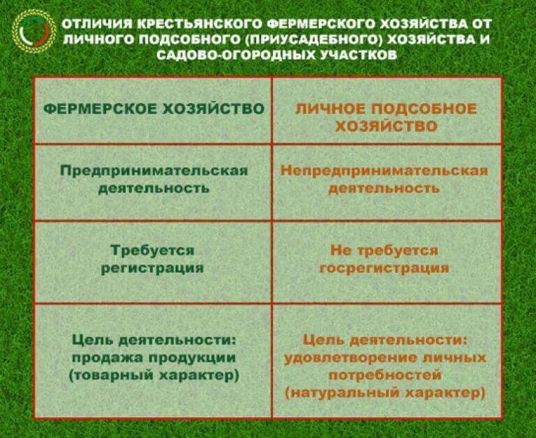 Лпх земля сельхозназначения. Отличия фермерского хозяйства от личного подсобного. Виды фермерских хозяйств. Виды крестьянского фермерского хозяйства. Крестьянское фермерское хозяйство таблица.