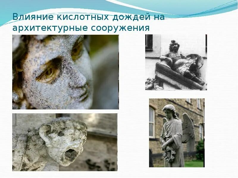 Значение кислотных дождей. Влияние кислотных дождей. влияние кислотных осадков. последствия кислотных дождей. влияние кислотных дождей на архитектуру.