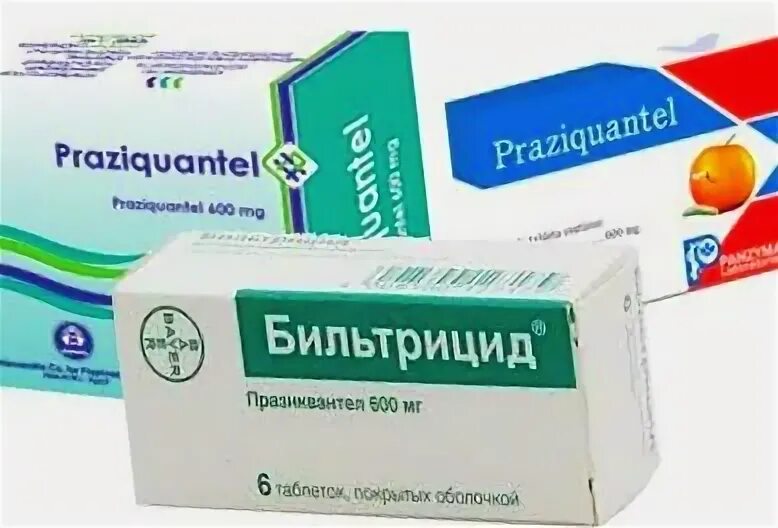 Празиквантел для человека. Празиквантел. бильтрицид. празиквантел для людей. празиквантел 400мг.