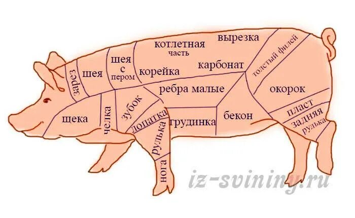 Опишите схему разделки свиной туши. Разделка туши свиньи схема вырезка. Классическая схема разделки свиной туши. Схема разделки свиньи на мясо. Части свиньи названия