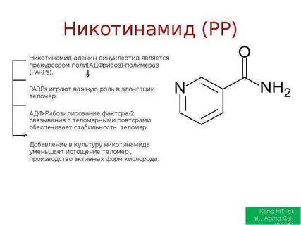 Что такое никотинамид