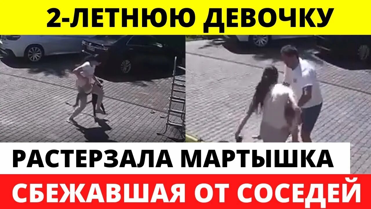 Сбежала обезьяна. Мартышка сбежала из зоопарка. Обезьяна убежал из зоопарка. Нападение обезьян на людей.