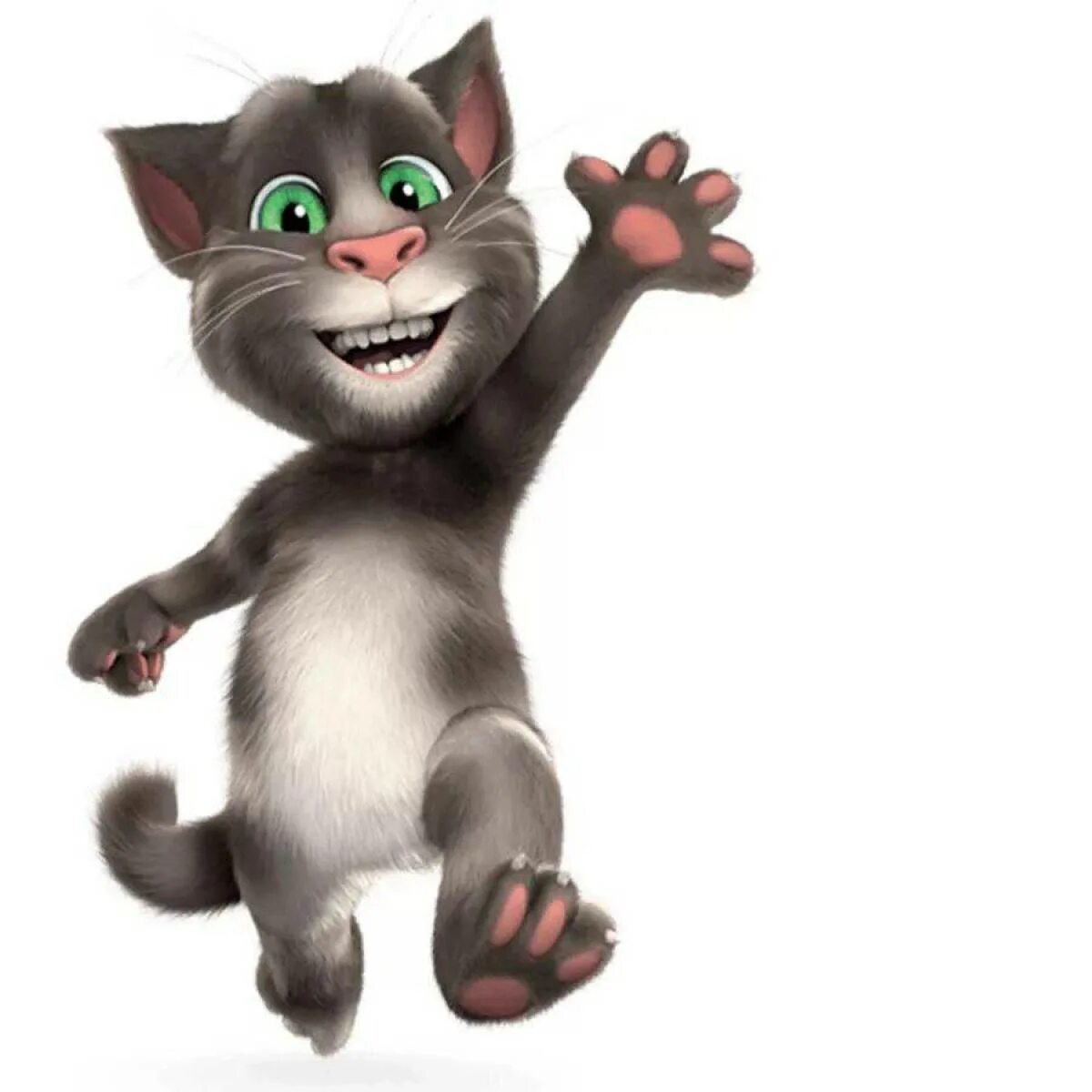 Talking tom. Talking tom cat. Том и джерри. Talking tom 2010. Talking tom.