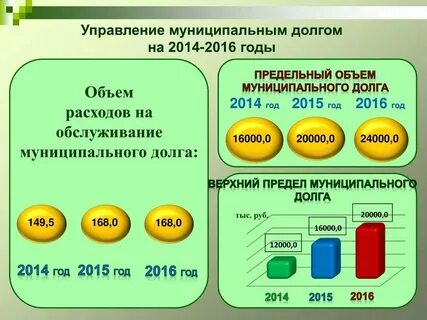 Уровень обслуживания долга